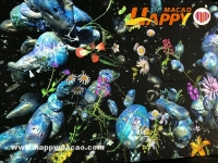 藝文薈澳 最美打卡最好睇最臻雅最文藝推介