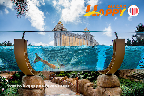 GRD__skytop_rapid_with_mermaid