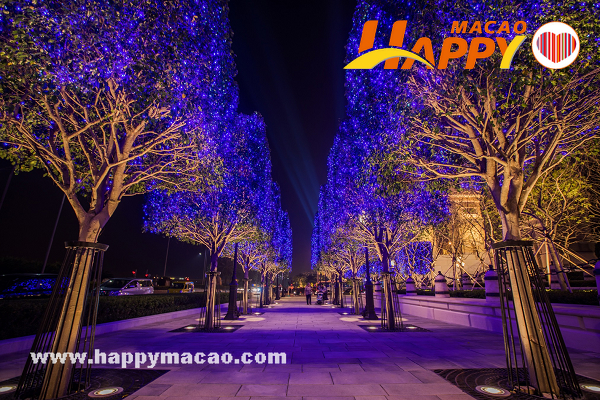 Parisian_Xmas_5