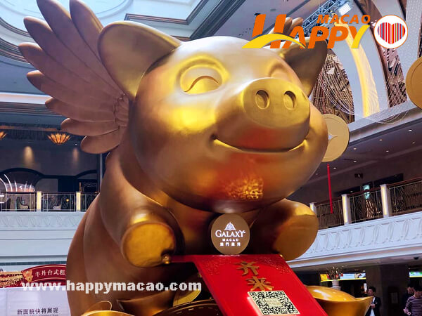 50320739_2589590164414958_2391426786706587648_n_1