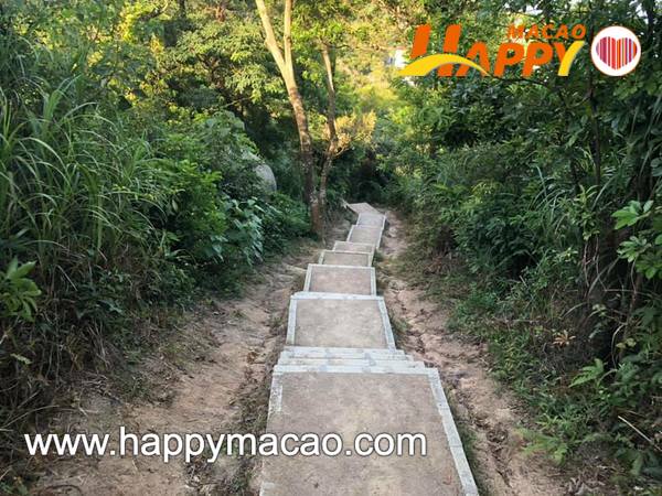 111072392_4838245449549407_5981056600196013082_n_1_1