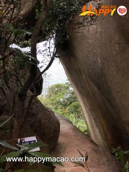 113545654_4838231496217469_5926499684852309771_n_1_1