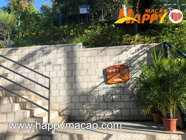 115320208_4838245446216074_5272311277786865056_n_1_1