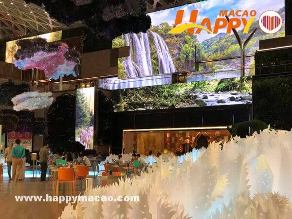 65919921_2953286581378646_307551621540216832_n_1