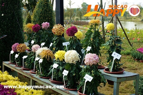 DSC09783__1_1