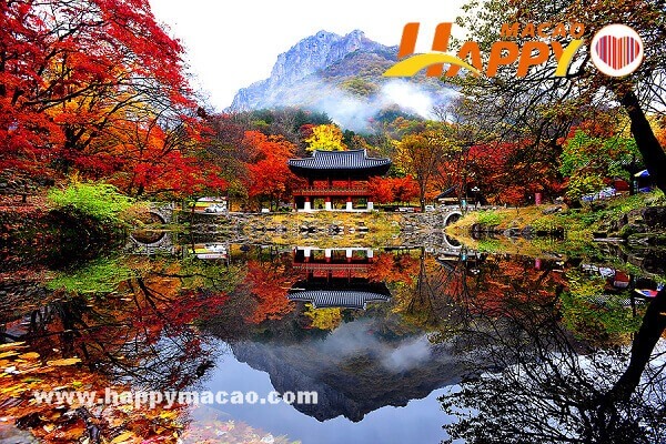 Jeollanam-do_Baegyangsa_Temple_1_1_1