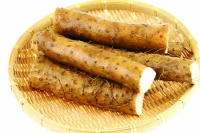 活用山藥治兒童厭食
